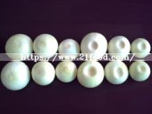 4-6cm New Crop Peeled Onion Supplier