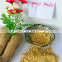 ISO Kosher Halal FDA Certificate China Factory  Ad   Ginger  Powder