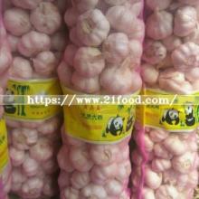 Fresh Size 5-6cm 5kg Mesh Bag Package Normal White Garlic