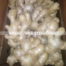 Air Dry Ginger at EU Standard