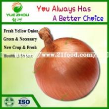 Wholesale Onion China New Crop Yellow Skin Onion Price