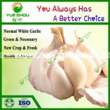 Jinxiang Garlics New Crop Normal White Garlic with Price From China