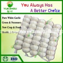 Organic Fresh Garlic Pure White Garlic From China with Cheap Price