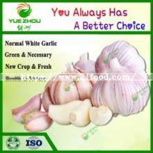 2019 China Fresh Garlic Normal White Garlic New Crop Garlic with Cheap Price