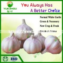 Fresh Garlic New Crop Normal White Garlic From China with High Quality
