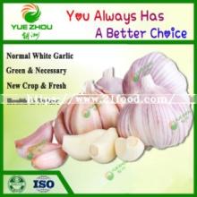 Hot Sale Organic Garlic Fresh Garlic Normal White Garlic From China