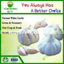 Big Garlic Organic Garlic New Crop Normal White Garlic with Cheap Price