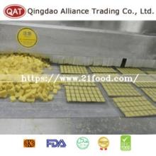 Frozen Ginger Puree Tablet with EU Standard