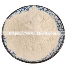 High Purity Bulk Toasted Onion Powder