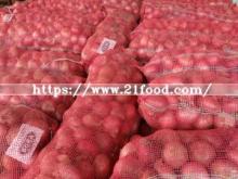 Fresh Red Onion with Mesh Bags