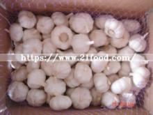Shandong New Crop Fresh Cooling Pure White Garlic