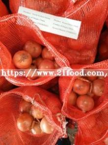 New Crop Chinese Fresh Red Onion with Top Quality