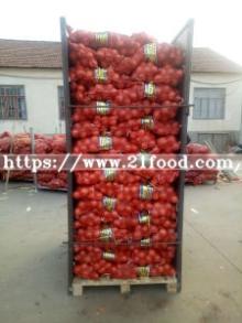New Crop Fresh Red Onion for Exporting