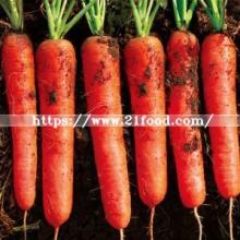China Natural Fresh Carrots for Sale