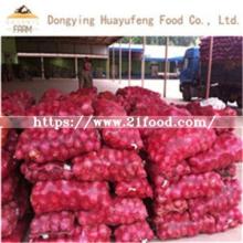 Premium Grade New Crop 100% Natural Fresh Red Onion