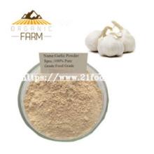 Good Quality 100% Pure Dehydrated Garlic Powder