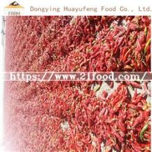 Hot-Selling High Quality Dried Red Chili