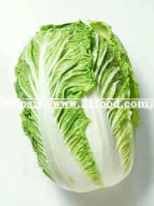 Fresh Chinese Cabbage with Carton Packing