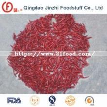 Good Quality Dried Hot Red Indian Chillies