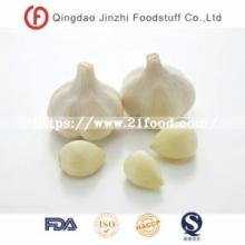 Pure White Dried Garlic Granules