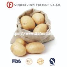 Good Quality Fresh Potato Varieties