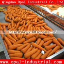 Export Middle East Vegetable Standard Fresh Red Yellow Carrot