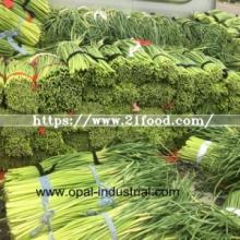 Garlic Stem for Health Food