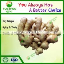 Wholesale Organic Dry Ginger Price with Cheap Price