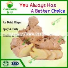 Chinese Organic Fresh Dry Ginger Price for Hot Sale