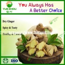 Chinese Organic Fresh Dry Ginger Price From Shandong
