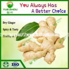 Golden Supplier Air Dry Ginger with Cheap Price