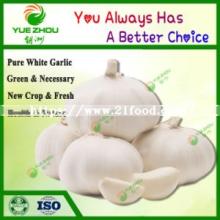 Cheap Fresh Pure White Garlic From China with Top Class