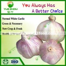 20kg Mesh Bag Packing Normal White Garlic From China