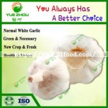 2019 Qualified Fresh White Garlic Normal White Garlic From China