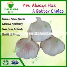 Fresh Garlic Normal White Garlic with Top Quality From Shandong
