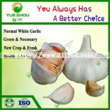 Hot Sale Shandong Garlics with New Crop Normal White Garlic