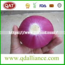 Top Quality  Fresh   Peeled  Onion with Good Price
