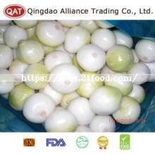 Fresh Peeled Onion China with Competitive Price