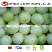 Top Quality Fresh Peeled White Onion