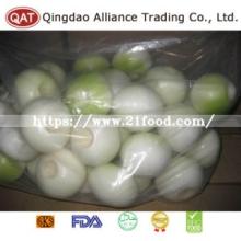 High Quality Nitrogen Filled Fresh Peeled Onion