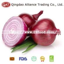 2019 Fresh Peeled Purple Onion