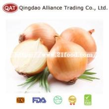 2019 New Crop Yellow Onion with Top Quality