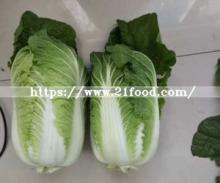 Fresh Chinese/Napa Cabbage