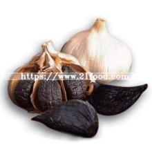 Factory Price Fermented Organic Black Garlic