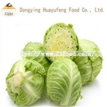 2019 Chinese Fresh Round Cabbage
