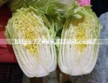 Chinese Unique Fresh Chinese Cabbage