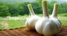 Super Hot Sale 2019 New  Normal   White   Garlic   From   China 