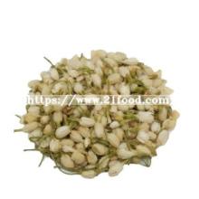 Sichuan Brand China Flavoured Jasmine Flower Tea