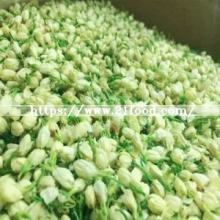Fujian Jasmine Flower Green Tea Dragon Pearls Tea in Slimming