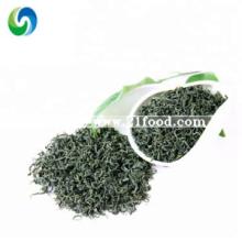 China Famous Traditional Wholesale Green Tea